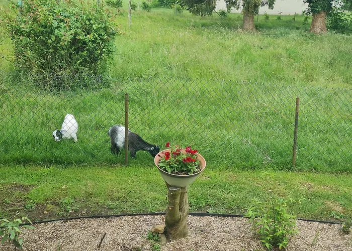 Maison Campagne Detente